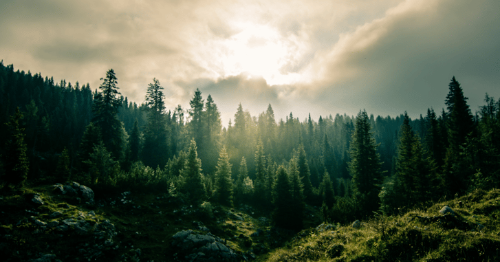 Ymparisto-Environment_laatu
